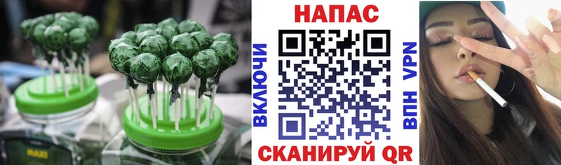продажа наркотиков  Назрань  Cannafood марихуана 