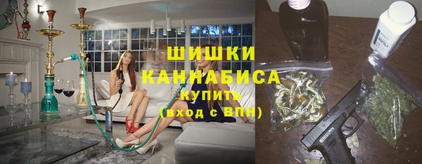 первитин Заводоуковск