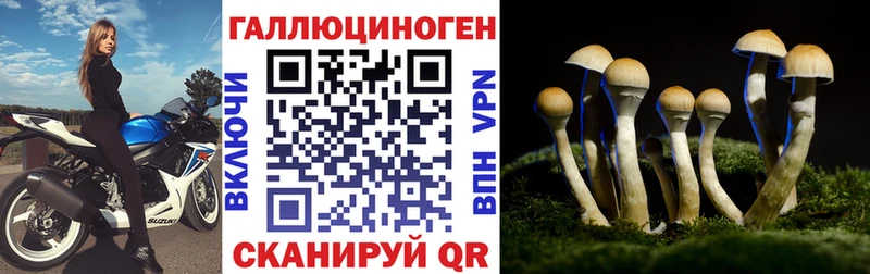 KRAKEN маркетплейс Назрань Псилоцибиновые грибы Magic Shrooms где купить наркотик