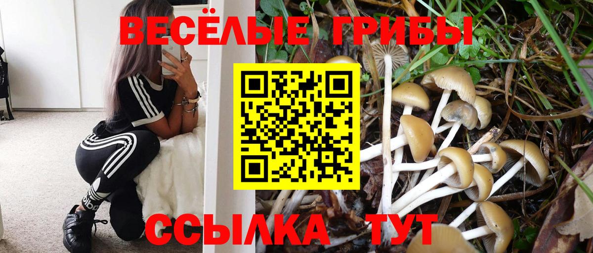 Галлюциногенные грибы мицелий Назрань