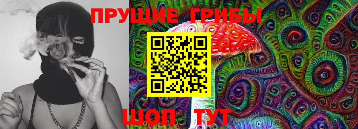 Назрань  Псилоцибиновые грибы мицелий  Вход с VPN  Галлюциногенные грибы прущие грибы 