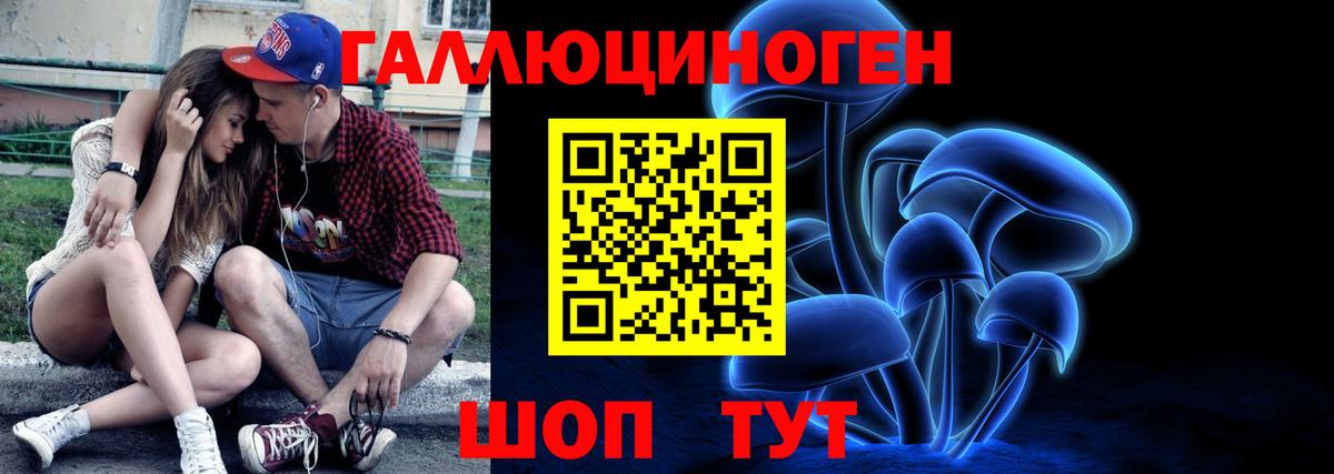 Псилоцибиновые грибы Psilocybine cubensis  Галлюциногенные грибы MAGIC MUSHROOMS  Назрань 